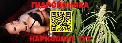 MESCALINE Обь