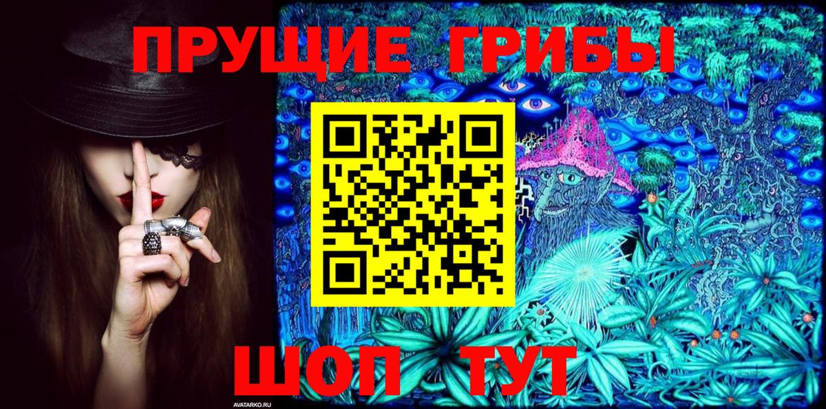 Галлюциногенные грибы мицелий Сланцы
